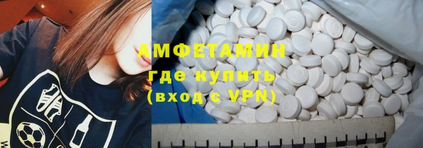 прущие грибы Переславль-Залесский