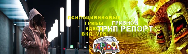 2c-b Пересвет