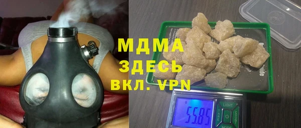 прущие грибы Переславль-Залесский