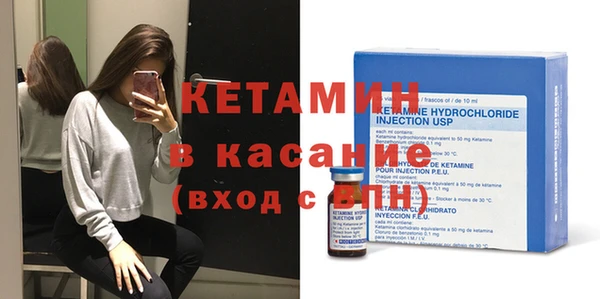 прущие грибы Переславль-Залесский