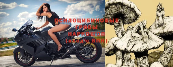 2c-b Пересвет
