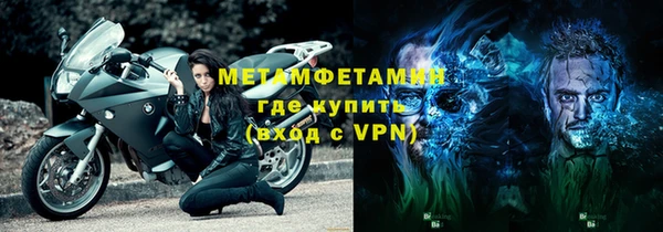 прущие грибы Переславль-Залесский