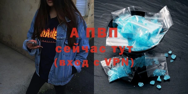 ГАЛЛЮЦИНОГЕННЫЕ ГРИБЫ Пестово