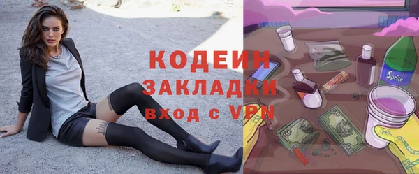 мдпв Галич