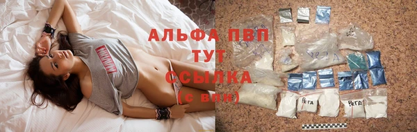 прущие грибы Переславль-Залесский