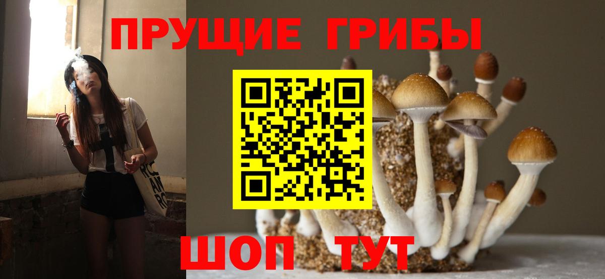 Псилоцибиновые грибы мухоморы  Вход с VPN  Галлюциногенные грибы Psilocybe  Россошь 